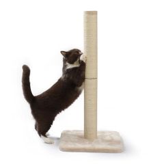 Item thumbnail for item 87ec1eeb-ecd7-4709-81a3-8ceedd91c9ee