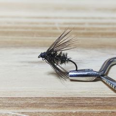 Item thumbnail for item 9c783447-9143-45d2-91df-ddea7f5218a8