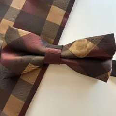 ⑤-11  蝶ネクタイ　ポケットチーフ　カフス3点セット