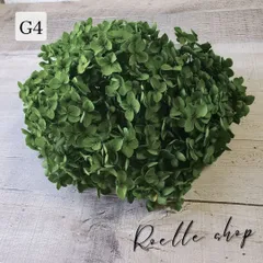 アナベルアジサイ プリザーブドフラワー (アジサイ あじさい 紫陽花) ハンドメイド アレンジ 制作 資材 材料 スワッグ リース ブーケ ハーバリウム レジン  フォレストグリーン (G4) 20g