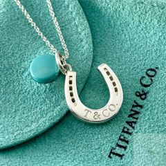 ティファニー アタッシュケース ピルケース 小物入れ シルバー RK7fe