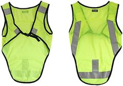 Item thumbnail for item 2cc87049-ebc2-4912-a72b-c7cf7dddceb4