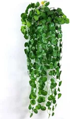 SCGEHA フェイクグリーン インテリア イミテーション 人工 観葉植物 壁掛け 緑 癒し (Cタイプ,  2本)