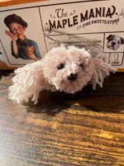 わんちゃんお顔(プードル、チワプー、マルプー)　ハンドメイド　キーホルダー、ブローチ