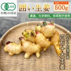 窪川産直 有機JAS 囲い生姜 500g みよしファーム 囲生姜 洗い 生姜 四万十 大生姜 有機栽培 有機生姜 高知産 国産 オーガニック しょうが 四万十町 窪川 高知県産 産直 宅急便