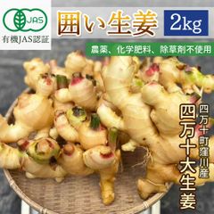 超メルカリ市価格！春野新生姜4キロ 超メルカリ市価格！春野新生姜4キロ - メルカリ