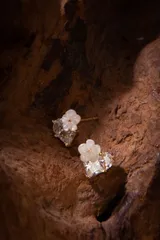 ハンドメイドピアス　No.0460