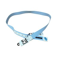 Item thumbnail for item 0c9cecc5-4669-45a4-976e-76d3672df15a