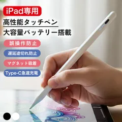 タッチペン iPad 超高感度 ペンシル スタイラスペン 極細 Type-C充電 A16 第11世代 9876 第10世代 iPad Air Pro 12.9 11インチ 13インチ iPad mini7 Air5 Air4 mini6 磁気吸着