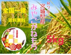 宮城県産 みやこがねもち米 30kg 令和7年産 精米/玄米 - メルカリ