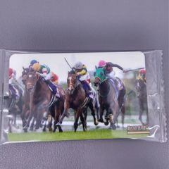 まねき馬倶楽部 No.2657 ソウルラッシュ レギュラーカード 未開封