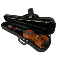 2026年最新】バイオリン4/4の人気アイテム - メルカリ