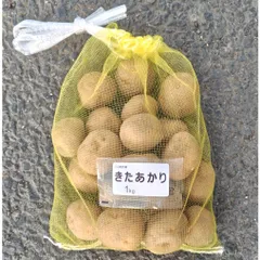 2026年最新】種芋 キタアカリの人気アイテム - メルカリ