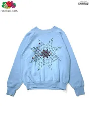 古着 80's FRUIT OF THE LOOM フルーツオブザルーム アメリカ製 プリント 長袖 スウェット トレーナー 青 水色 (ttu2508068)