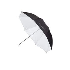 Item thumbnail for item ee21fd73-3846-4557-8202-6cfa580b80a6