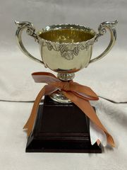 健康長寿の額 水 六訓 笹川良一 競艇界のドン - メルカリ