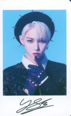 StrayKids FELIX 2022 MANIAC in JAPAN ポラ風