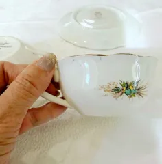 （2客セット）フランスアンティーク　ディゴワンサルグミンヌ　カップ&ソーサー【882-A】