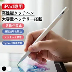 タッチペン iPad 超高感度 ペンシル スタイラスペン 極細 Type-C充電 A16 第11世代 9876 第10世代 iPad Air Pro 12.9 11インチ 13インチ iPad mini7 Air5 Air4 mini6 磁気吸着
