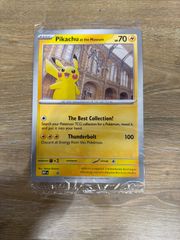 Pikachu at the Museum ロンドン自然史博物館 ピカチュウ F - メルカリ