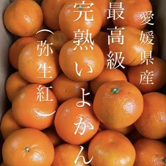 2026年最新】いよかんの人気アイテム - メルカリ