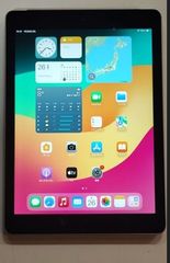 iPadPro 12.9インチ第2世代 256GB キャリアau 画面に変色あり - メルカリ