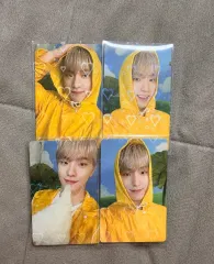 SEVENTEEN ディノ CARAT盤 カラット盤 トレカ まとめ