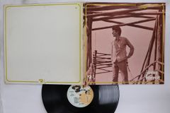 曽我部恵一 STRAWBERRY LP 曽我部恵一 [Keiichi Sokabe] Albums, Songs