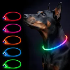犬用 光る首輪 LED首輪 USB充電 夜散歩 安全対策