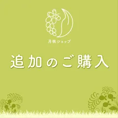 【みーちゃん様専用】【オプション購入指差しシート4枚、すべて男の子 しつけ絵カード、生活絵カード、意思表示絵カード、感情表情絵カード】