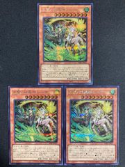 遊戯王 天雷ノ双風神 シーナ アジア版 シークレット 亜シク - メルカリ
