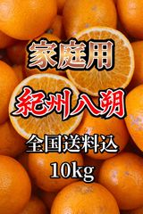 幻のみかん 紀州大坊みかん 秀品 3kg みかんキング - メルカリ