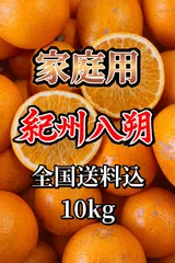 2026年最新】みかんキングの人気アイテム - メルカリ