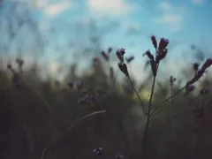 nanako0123様専用ページです