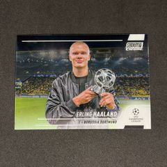 MTG Artist Series: Johannes Voss foil版 - メルカリ