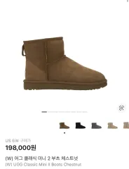UGG アグ クラシック ミニ チェスナット ブーツ 新品 (クリーム販売)
