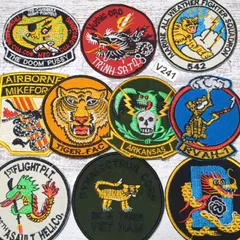 shiro様専用　V241龍虎+2枚