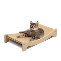 Item thumbnail for item d208511f-411d-4a6c-a8eb-f5443debf2d4