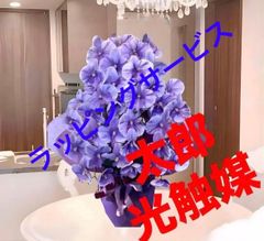 光触媒 人工観葉植物 ウォールグリーン フェイク 胡蝶蘭8056 - メルカリ