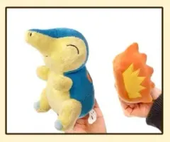 ポケットモンスター ヒノアラシ ぬいぐるみ キーホルダー マスコット