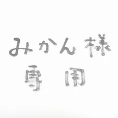 みかん様専用　ランチョンマット　2枚セット　40×50　ハンドメイド
