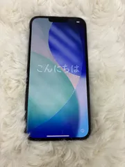 iPhone13 Pro Max 256 シエラブルー