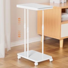 Item thumbnail for item 07d88967-7e3f-420e-8b0f-e6abf0fab67c