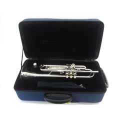 Item thumbnail for item 56edf316-0179-4901-b69e-fb1b6ebe60f1