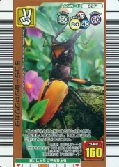 【中古】ムシキング 027[銅]：ラコダールツヤクワガタ