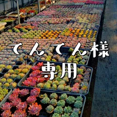 てんてん様専用