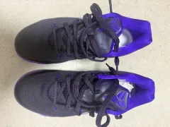 ナイキ コービー9 プロトロ パープル 265