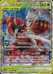 001/173/SM12A/B/RR フェローチェ&マッシブーンGXのサムネイル