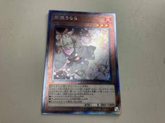 遊戯王 灰流うらら 3枚セット(シク1,UR2) - メルカリ