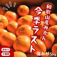 和歌山県産 みかん 5kg 甘い 家庭用 訳あり 柑橘 産地直送